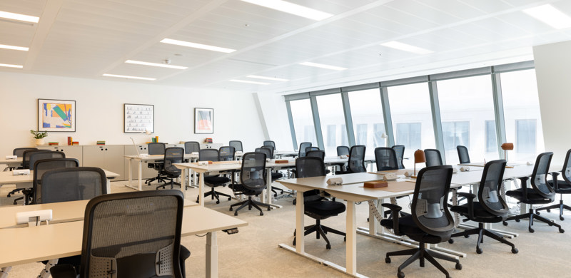 Spaceious office area for collaboration and concentration