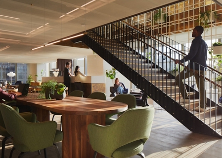 Plants in the office: how biophilia can enhance your workspace and improve employee motivation