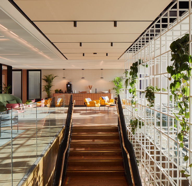 Bright, airy lounge space filled with natural light